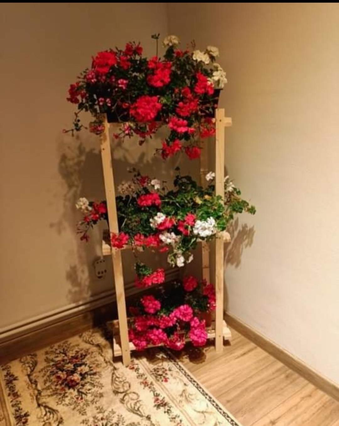 Family House Pristol Apartment ภายนอก รูปภาพ