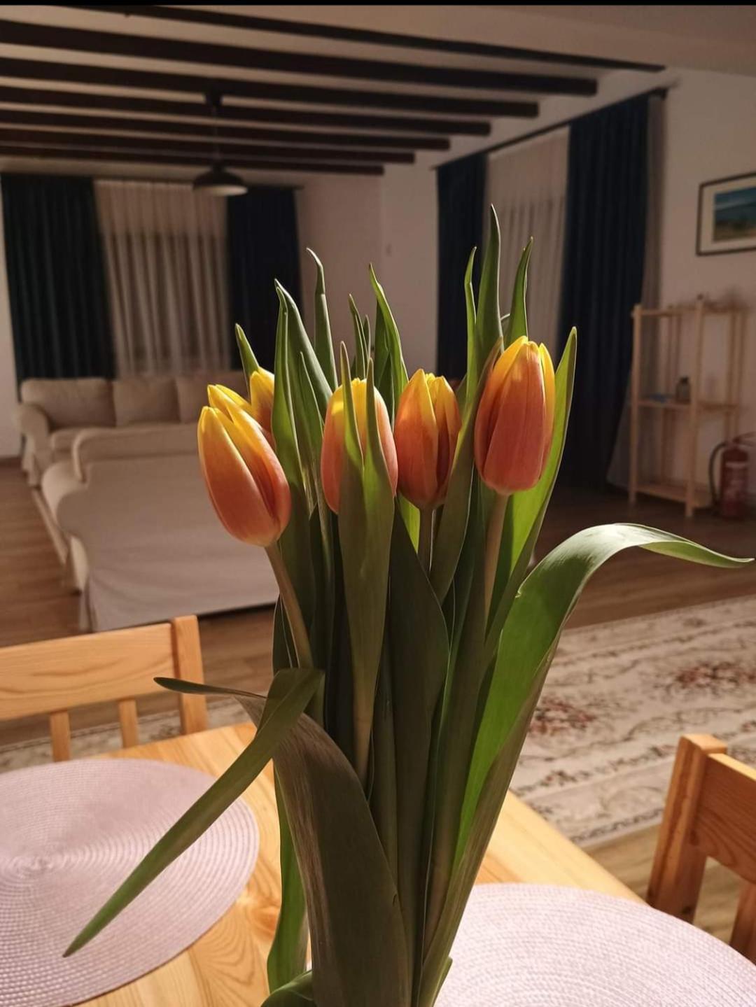 Family House Pristol Apartment ภายนอก รูปภาพ